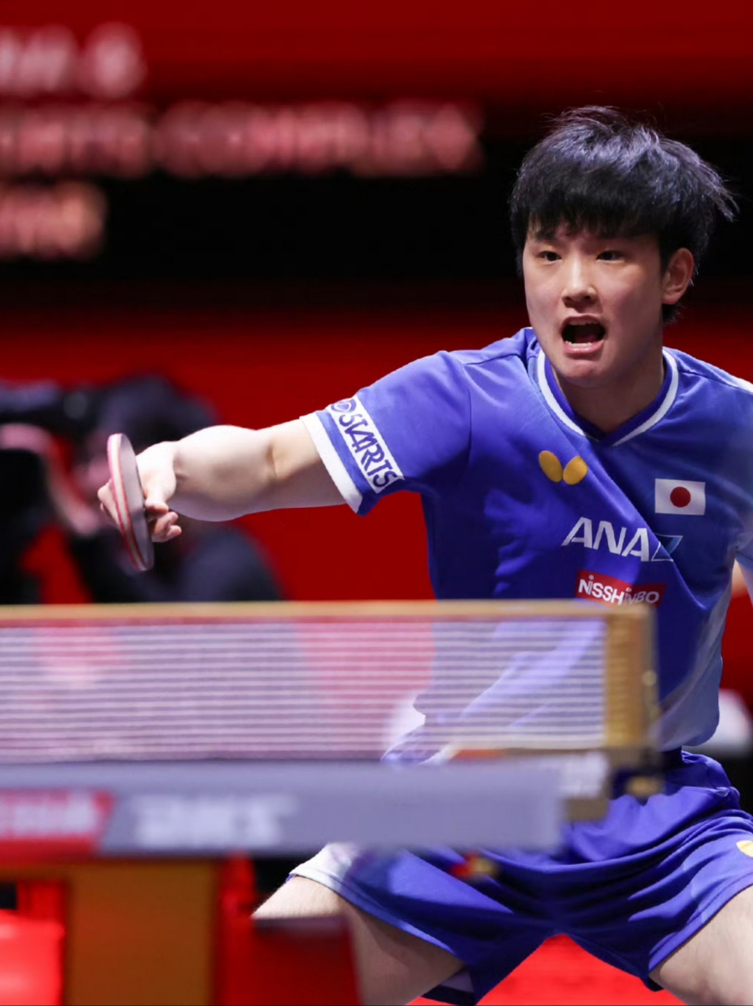 关于波兰乒乓球队逆转比利时乒乓球队,张本智和关键制胜的信息 关于波兰乒乓球队逆转比利时乒乓球队,张本智和关键制胜的信息