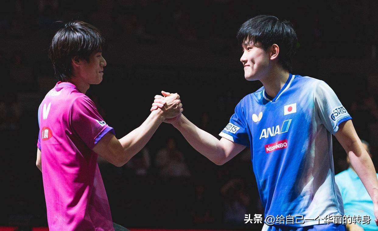 关于波兰乒乓球队逆转比利时乒乓球队,张本智和关键制胜的信息 关于波兰乒乓球队逆转比利时乒乓球队,张本智和关键制胜的信息