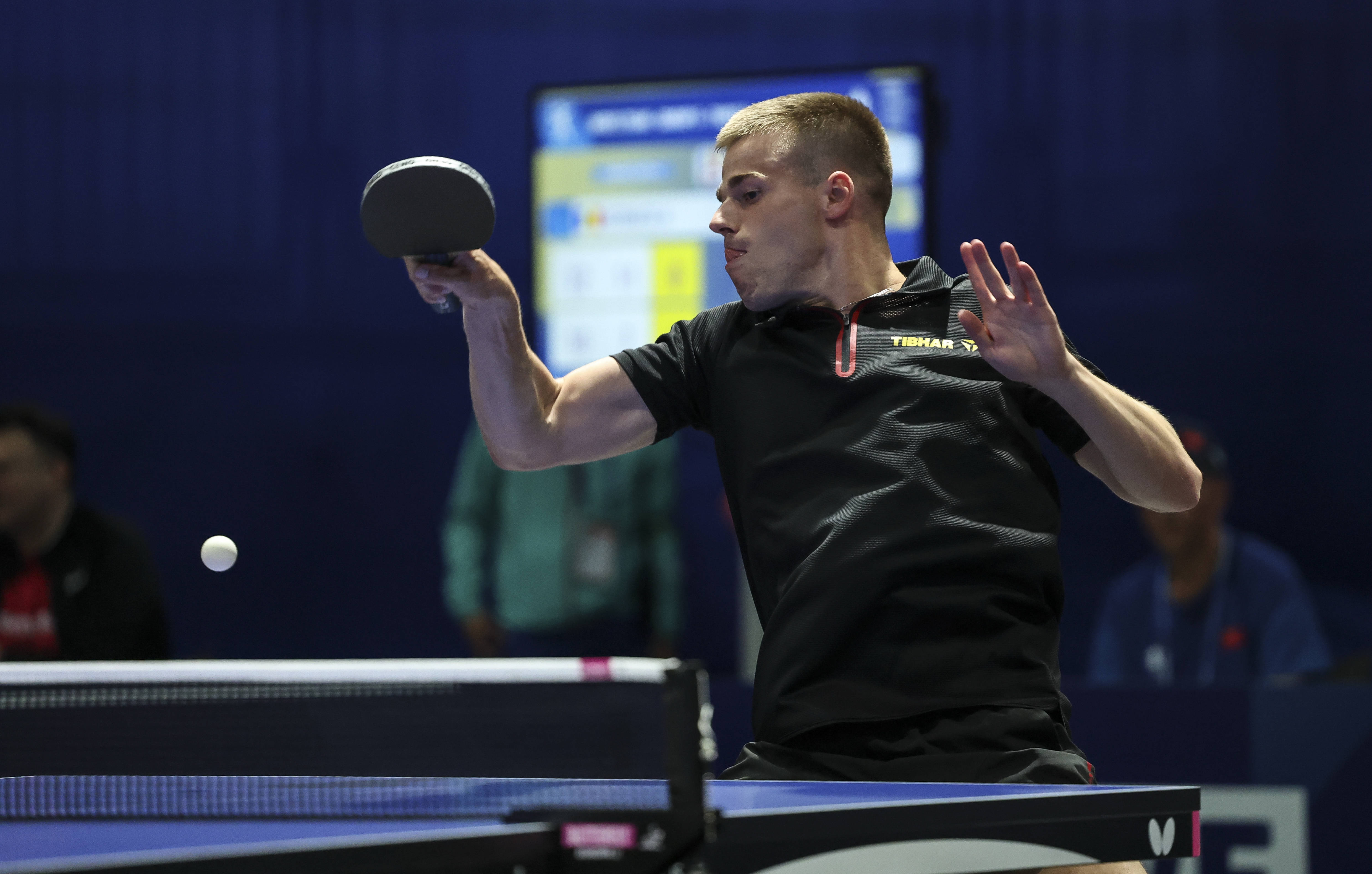 比利时乒乓球队碾压波兰乒乓球队，王皓制霸全场的简单介绍