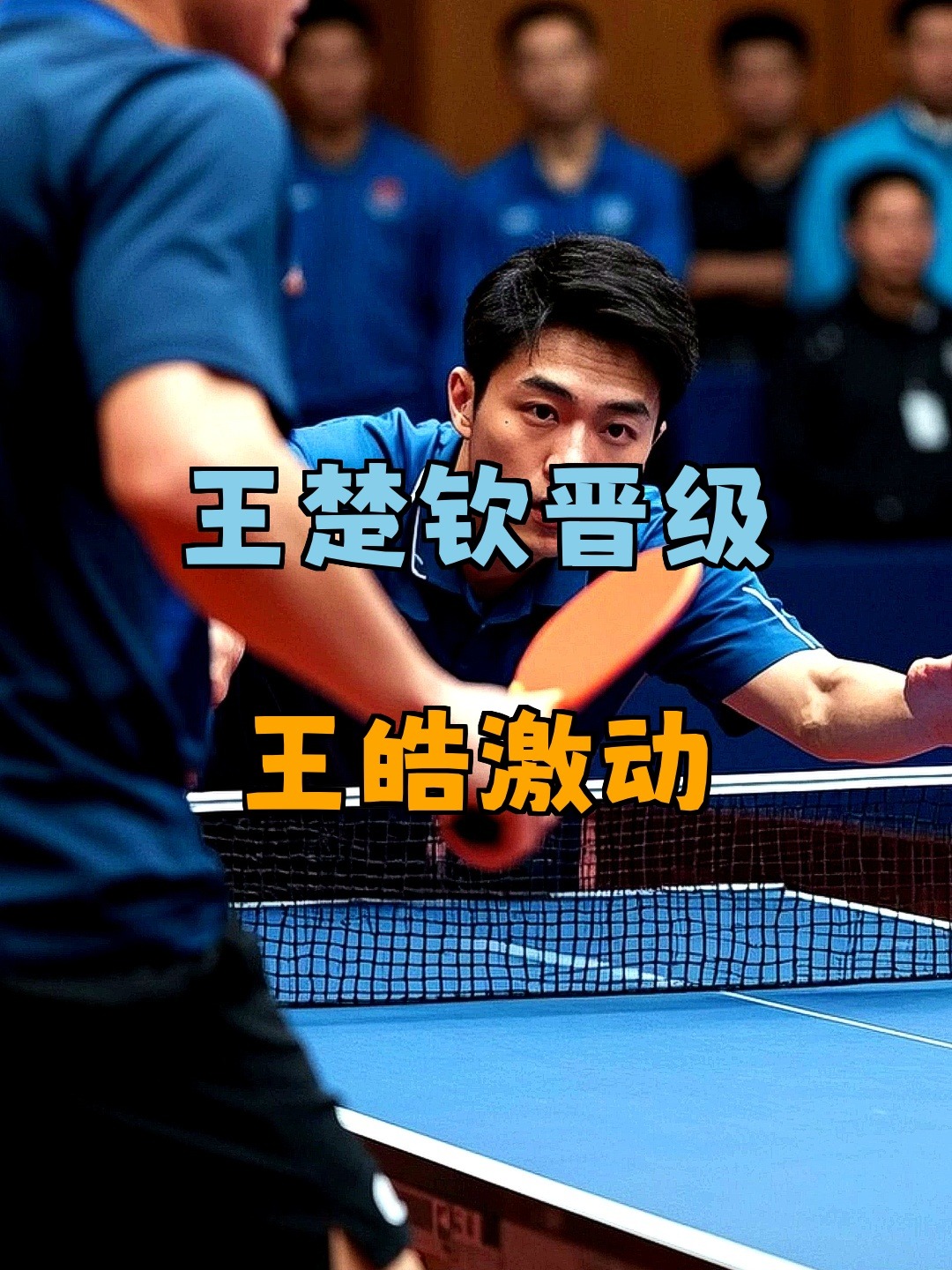 比利时乒乓球队碾压波兰乒乓球队，王皓制霸全场的简单介绍
