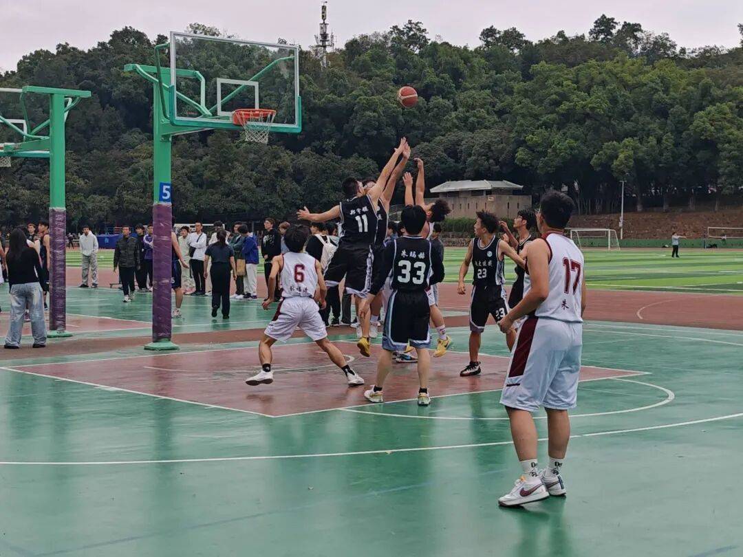 世界杯篮球预热赛打响，各队试金石激战上演的简单介绍