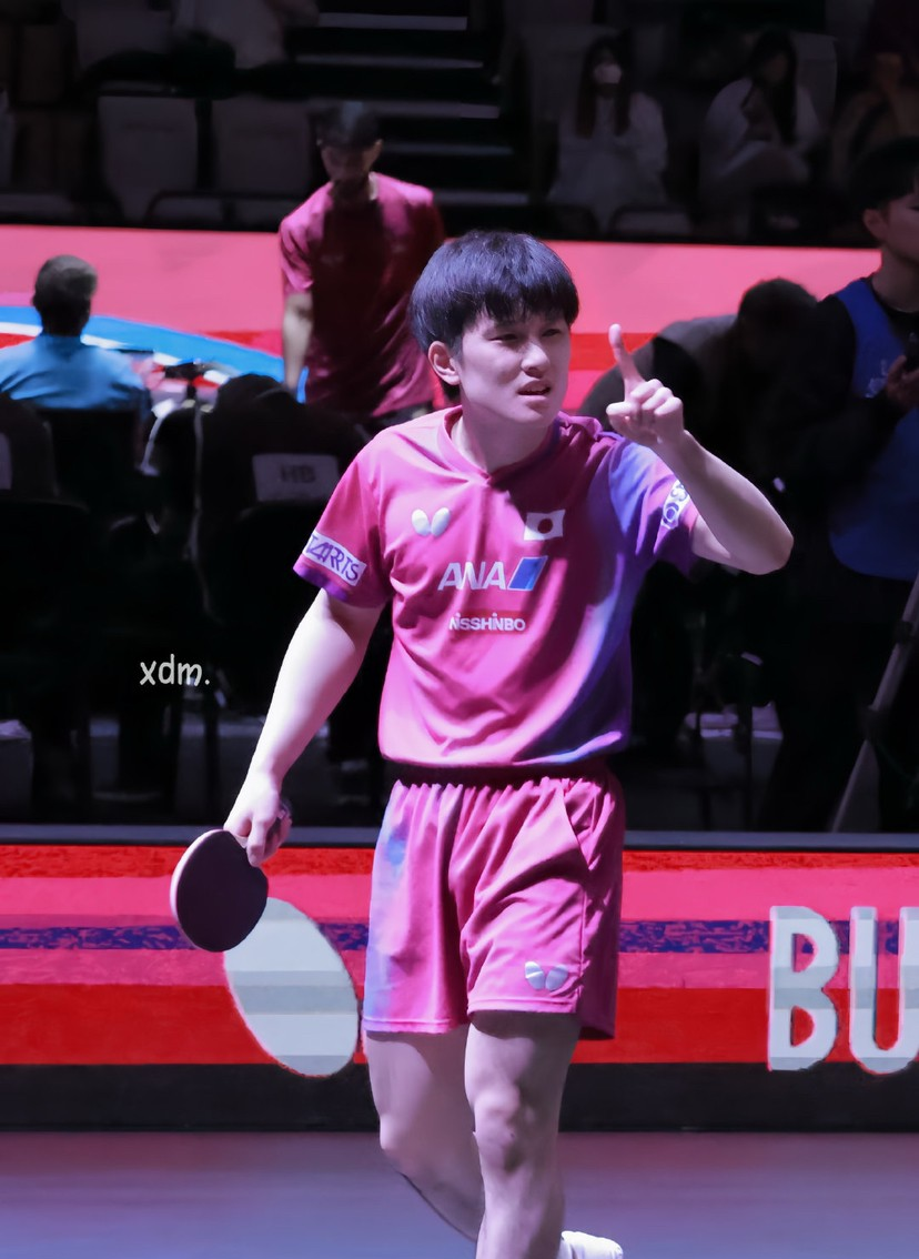 关于德国乒乓球队绝杀波兰乒乓球队，张本智和爆发神勇的信息