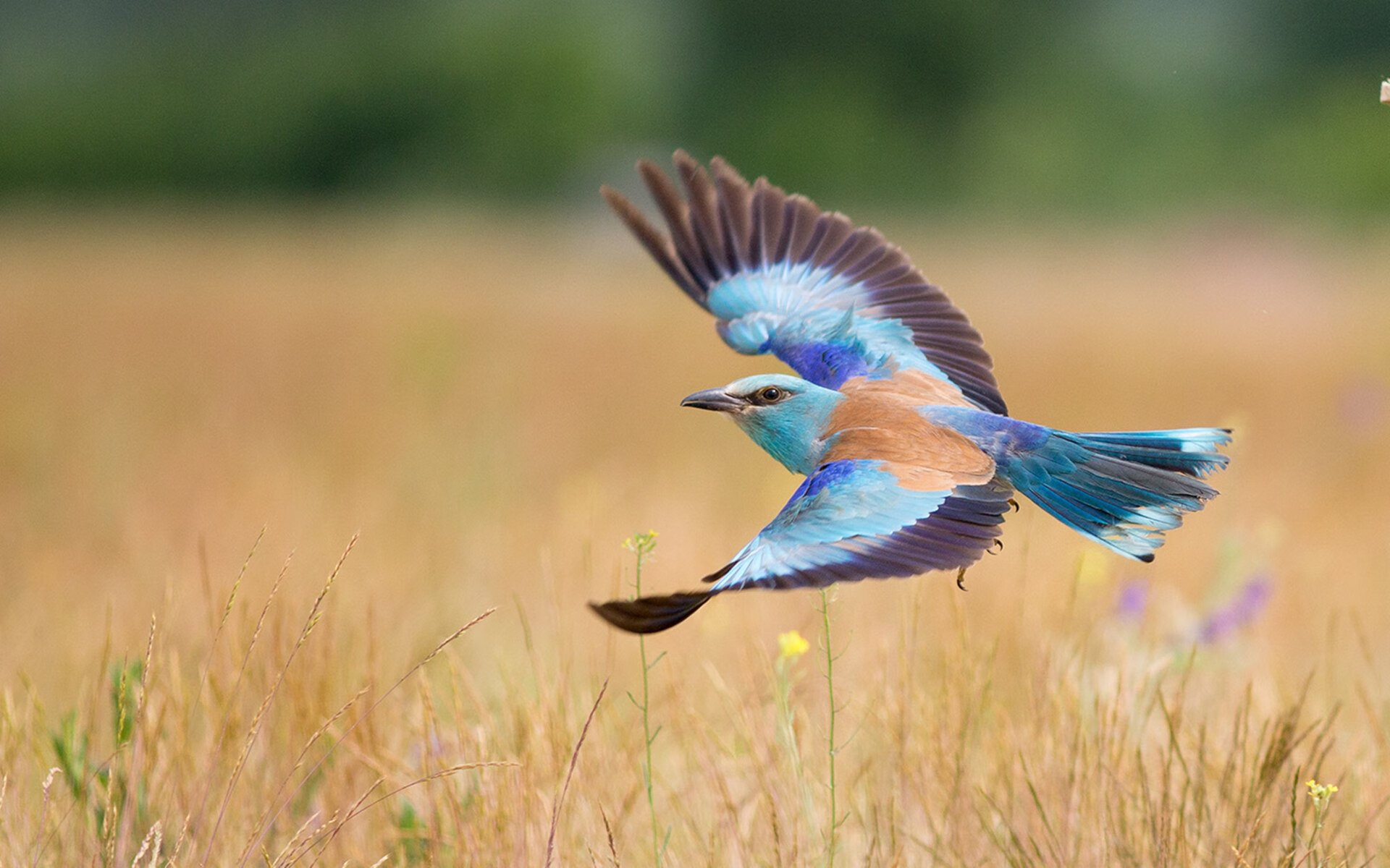 特奥·埃尔南德斯一锤定音，墨西哥提前终结悬念，马赛主场见证经典时刻
