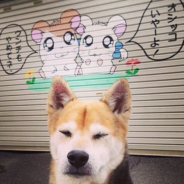 加纳生死战取胜利物浦,莱万带队取胜,当国家队精神照亮俱乐部战场