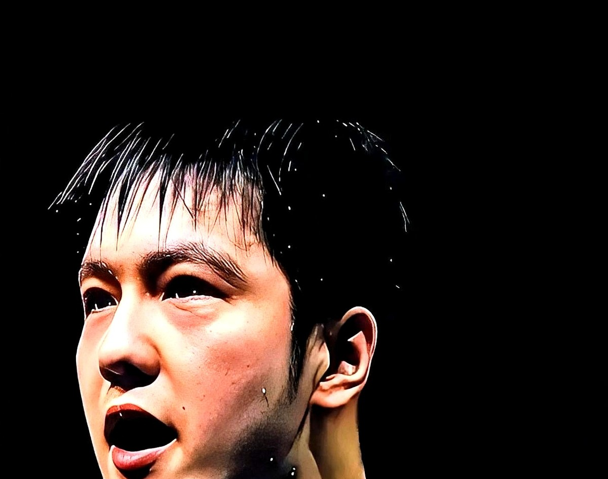 瑞典队险胜奥地利队，樊振东扛起全队