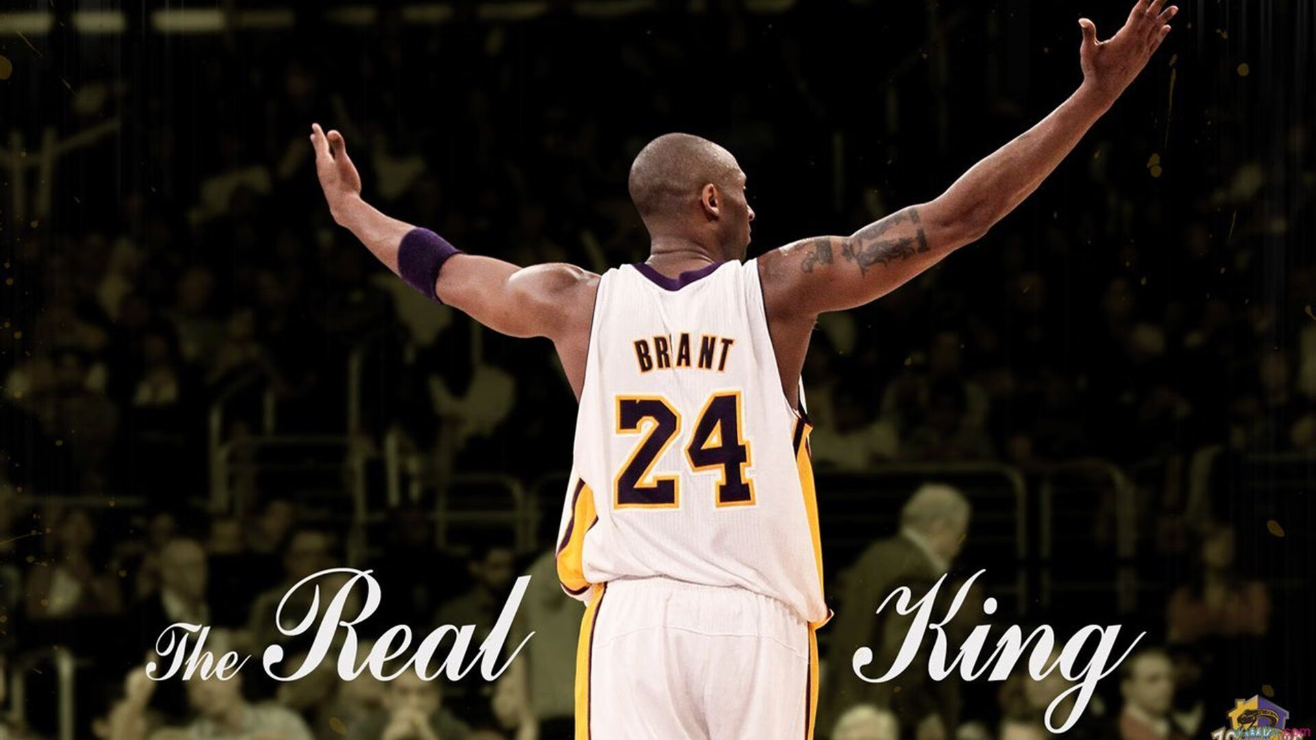 戈贝尔独木难支,广东铁血防守全面压制公牛